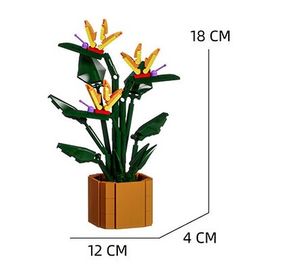 Potted flower Iris Japonica Thunb 320 pcs